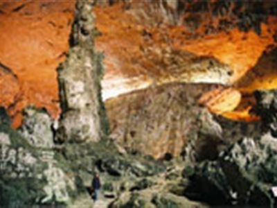 Visit Mangrove Forest & Thien Long Cave